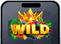 Multi Hot 5 Burn Wilds en 1xSlots Casino